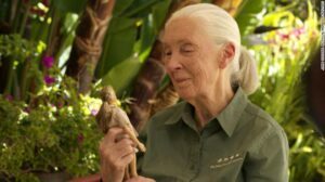 Barbie Jane Goodall