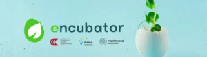 Encubator