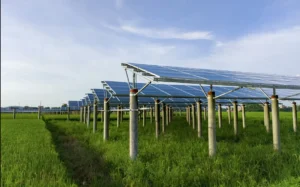 Agrifotovoltaico