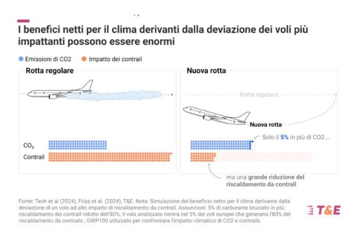 Grafico